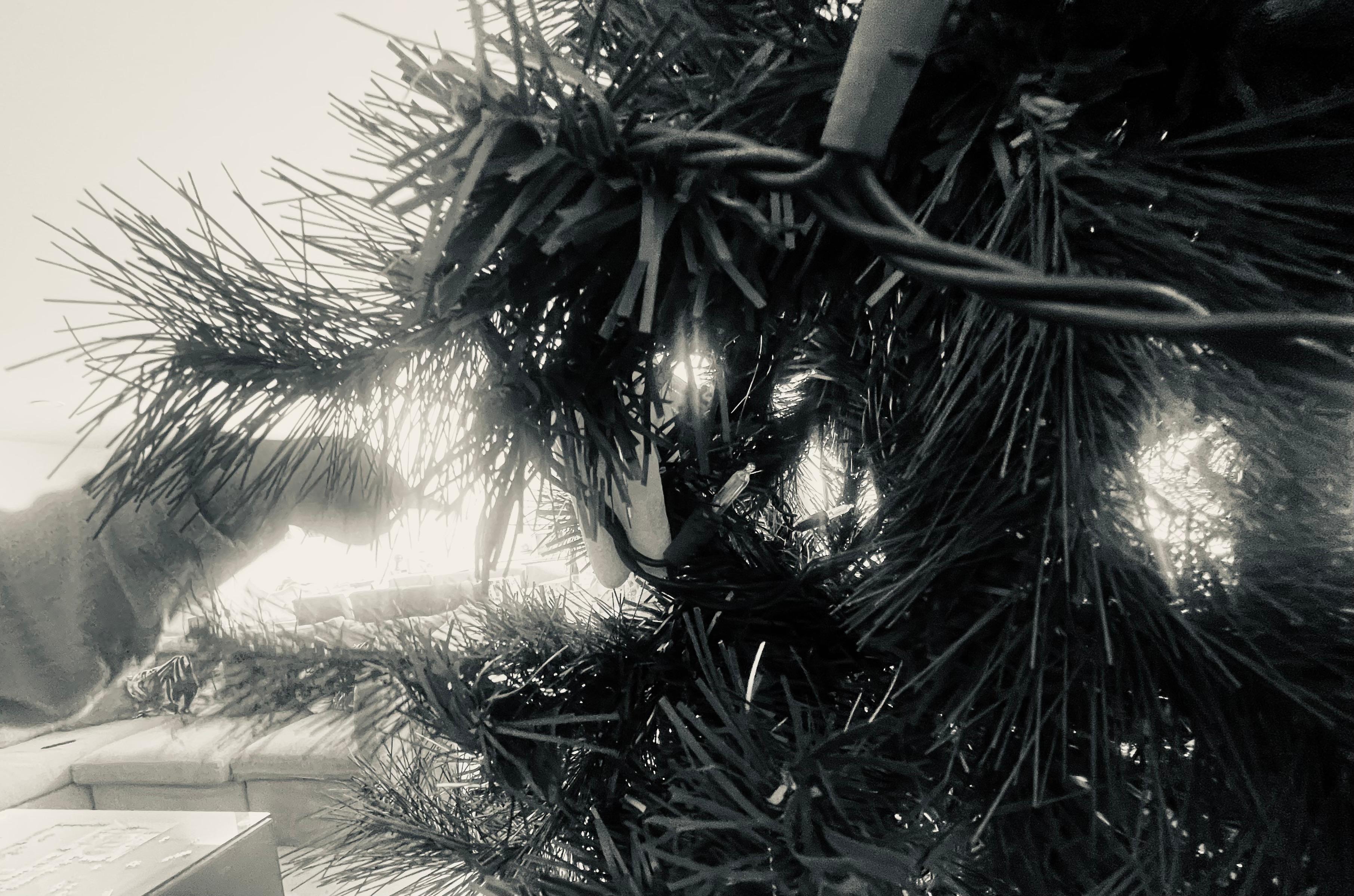 El árbol de navidad